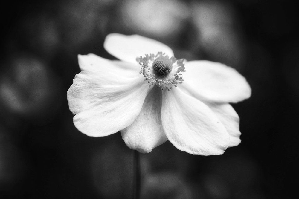 Photograph by Marian Lázaro