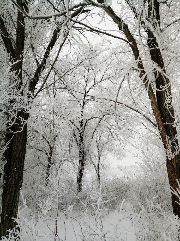 Photograph by Мария Пилипенко