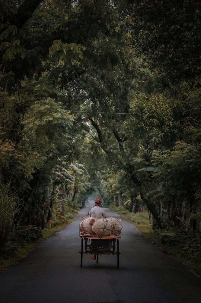 Photograph by SanyatTurjo