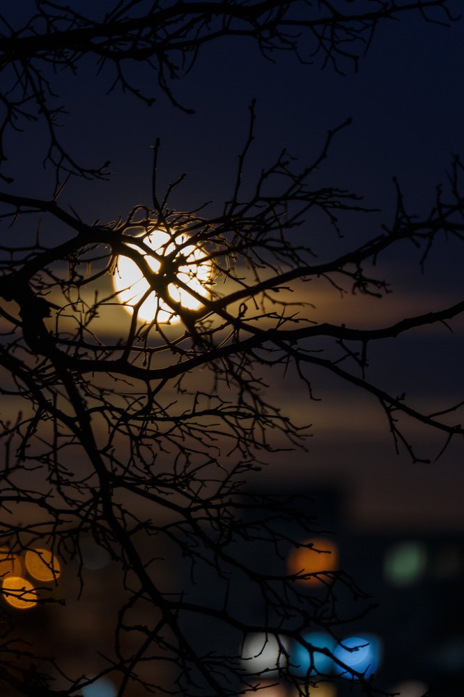 Photograph by Сергей Старых