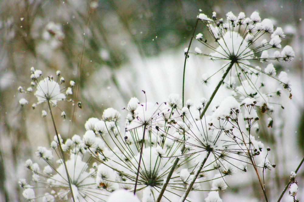 Photograph by Вадим Беляев