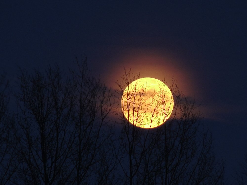 Фотография автора Иван Кириллов