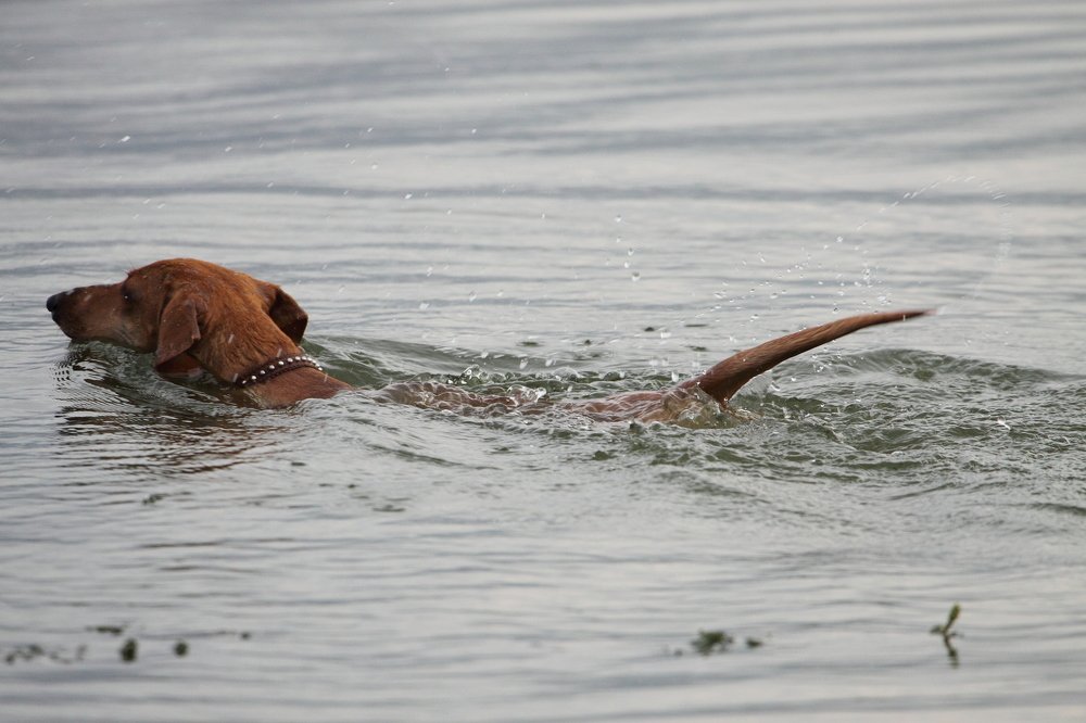 Photograph by Сергей Ножнин
