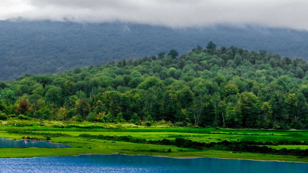 Photograph by mehrshad hassani