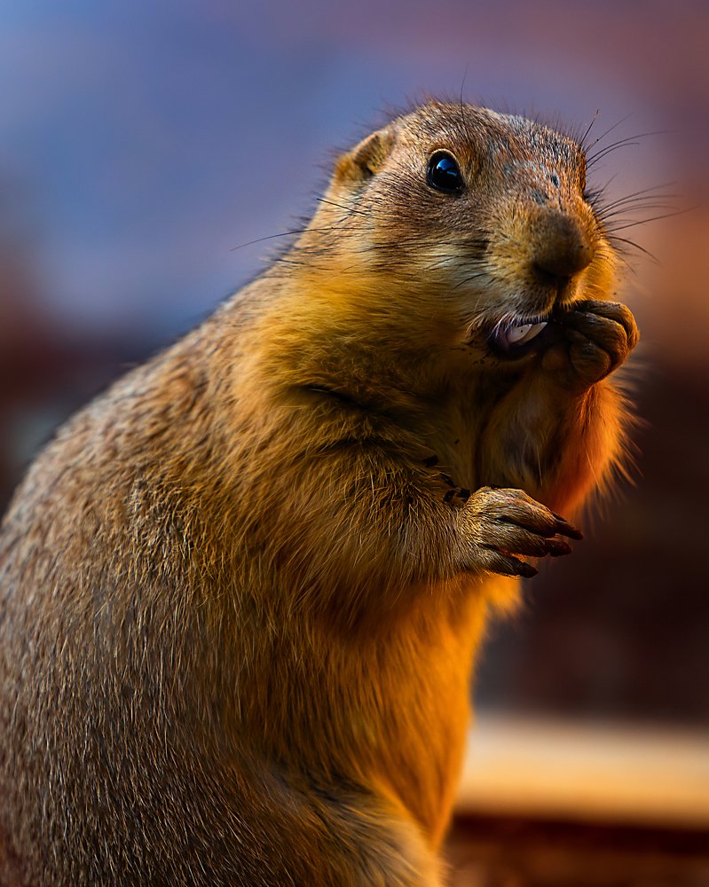 Ой!! Что я натворил?