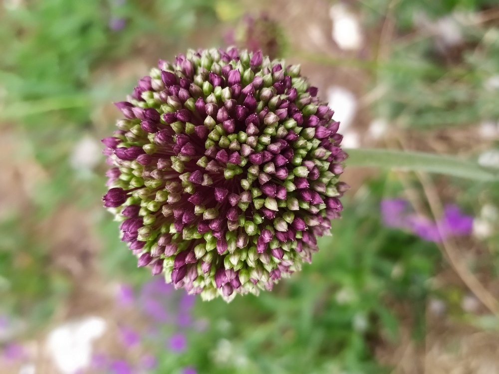 Photograph by Марина Чернигова