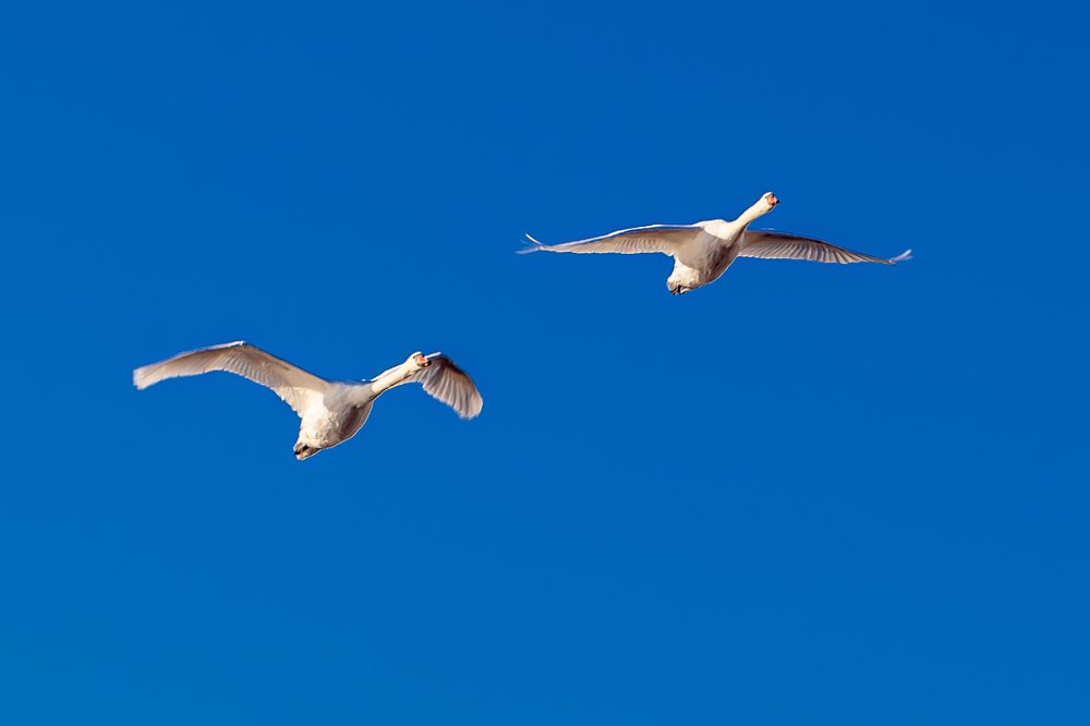 Photograph by Christopher Bjørkli