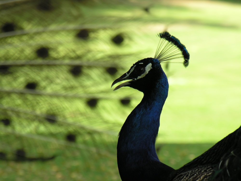 Photograph by Сергей Ножнин