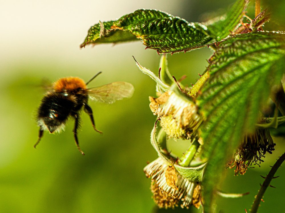 Photograph by Christopher Bjørkli