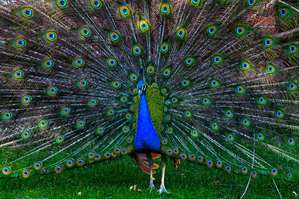 Photograph by Christopher Bjørkli