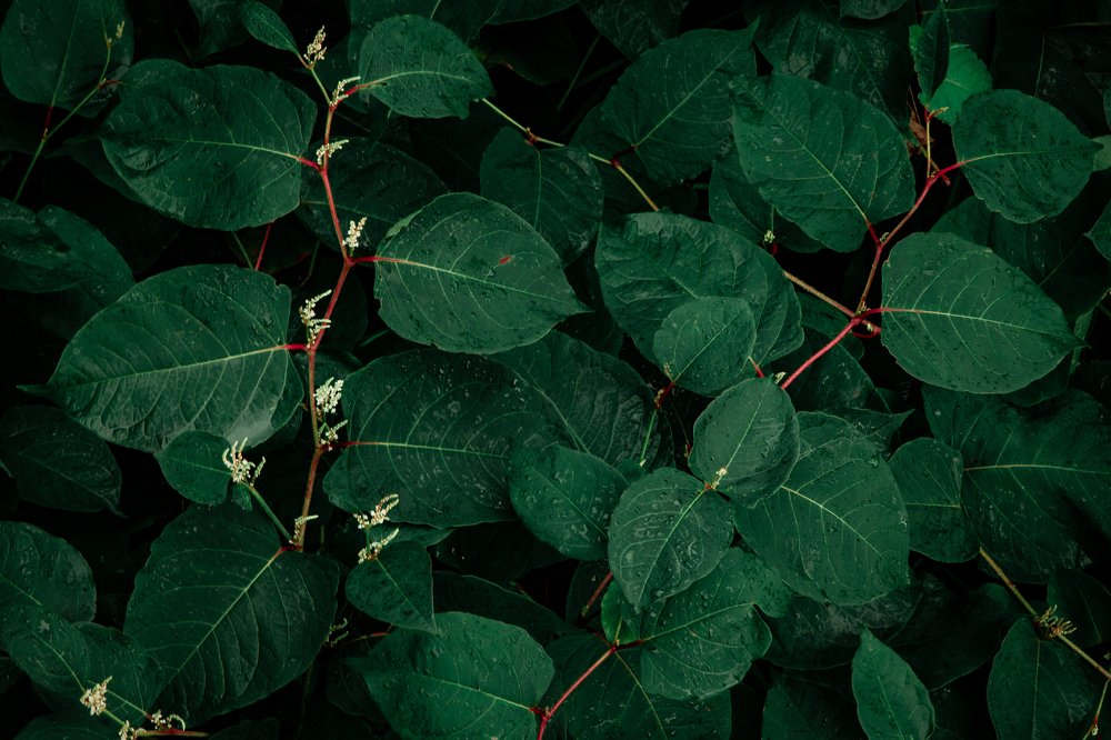 Фотография автора Ольга Галушкина