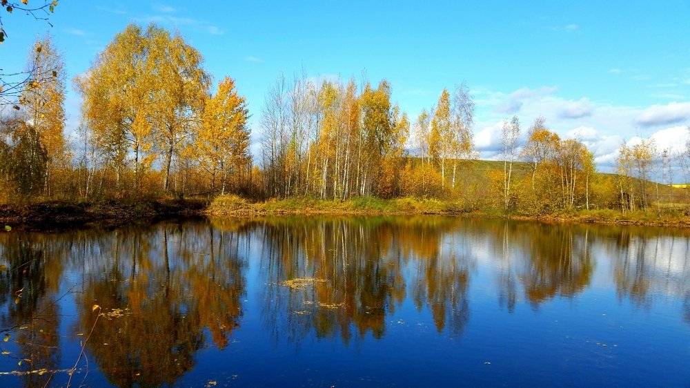 Осенней поры увяданье