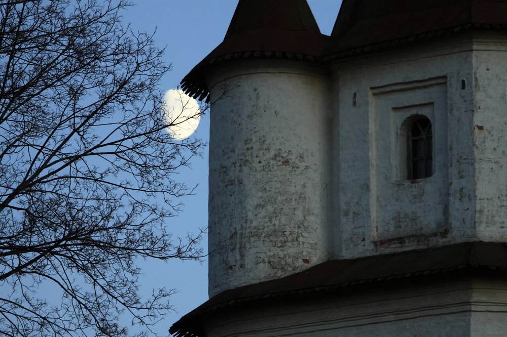 Photograph by Сергей Ножнин