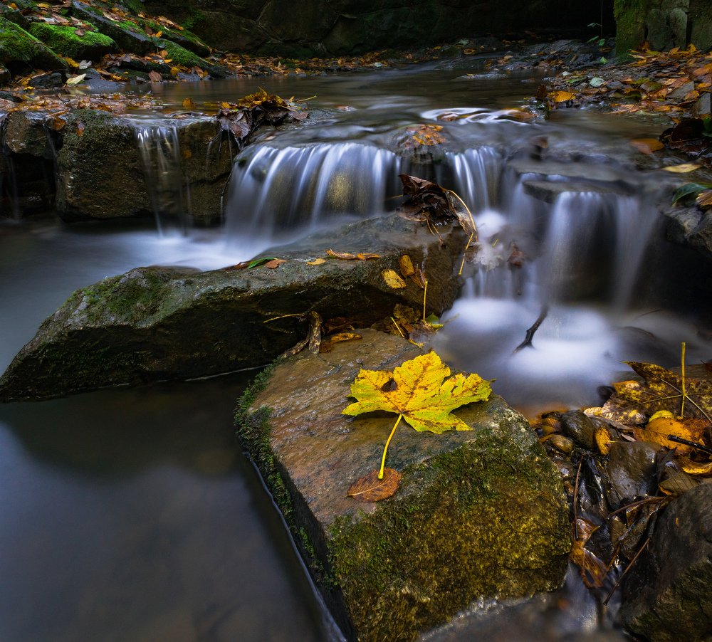 River in autumn colors