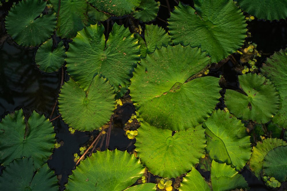 Photograph by Соша Грухина