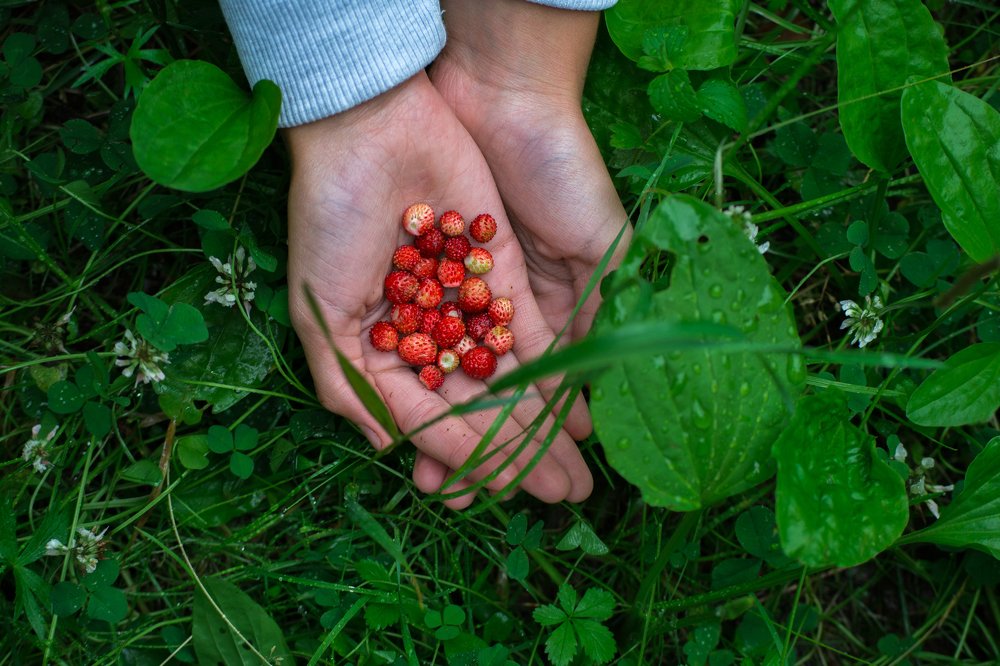 Photograph by Соша Грухина