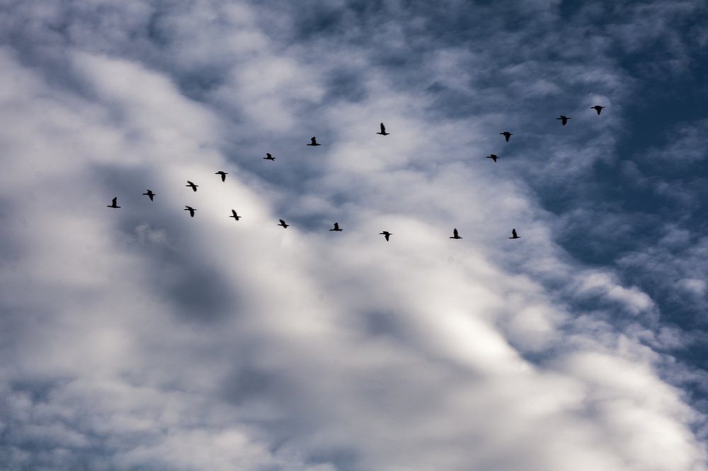 Photograph by Соша Грухина