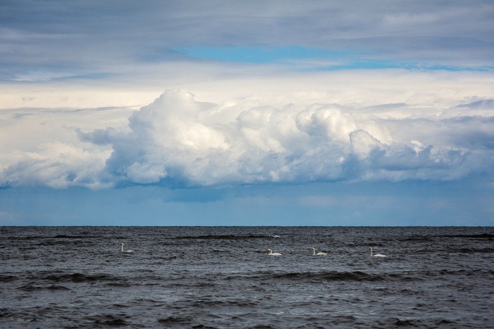 Photograph by Соша Грухина