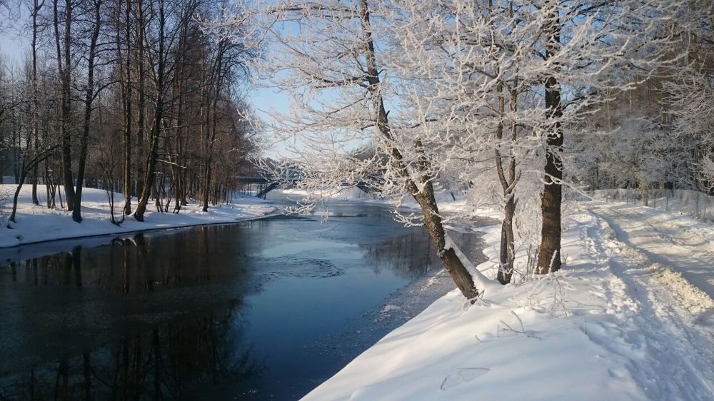 Фотография автора Алексей Ковалев