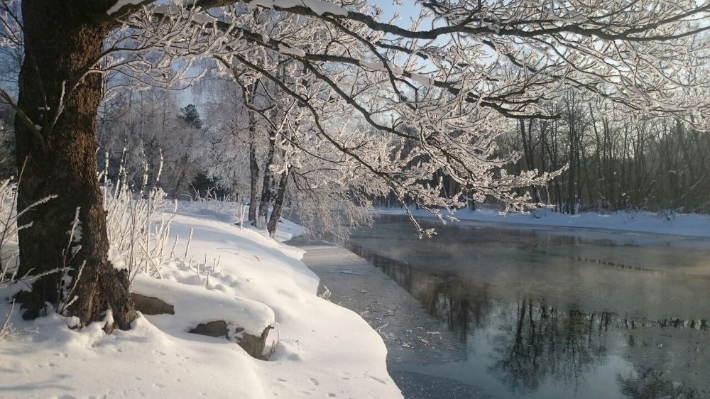 Фотография автора Алексей Ковалев