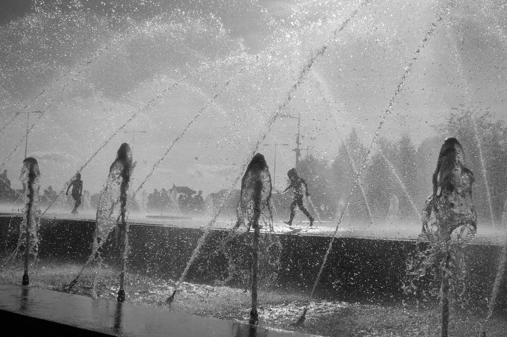 Photograph by Vladislav B