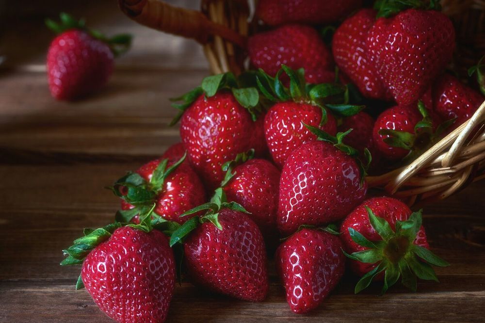 Фотография автора Алексей Ковалев