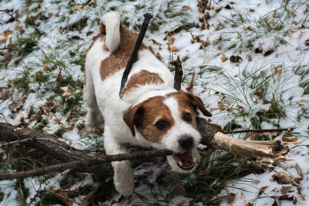 Photograph by Соша Грухина