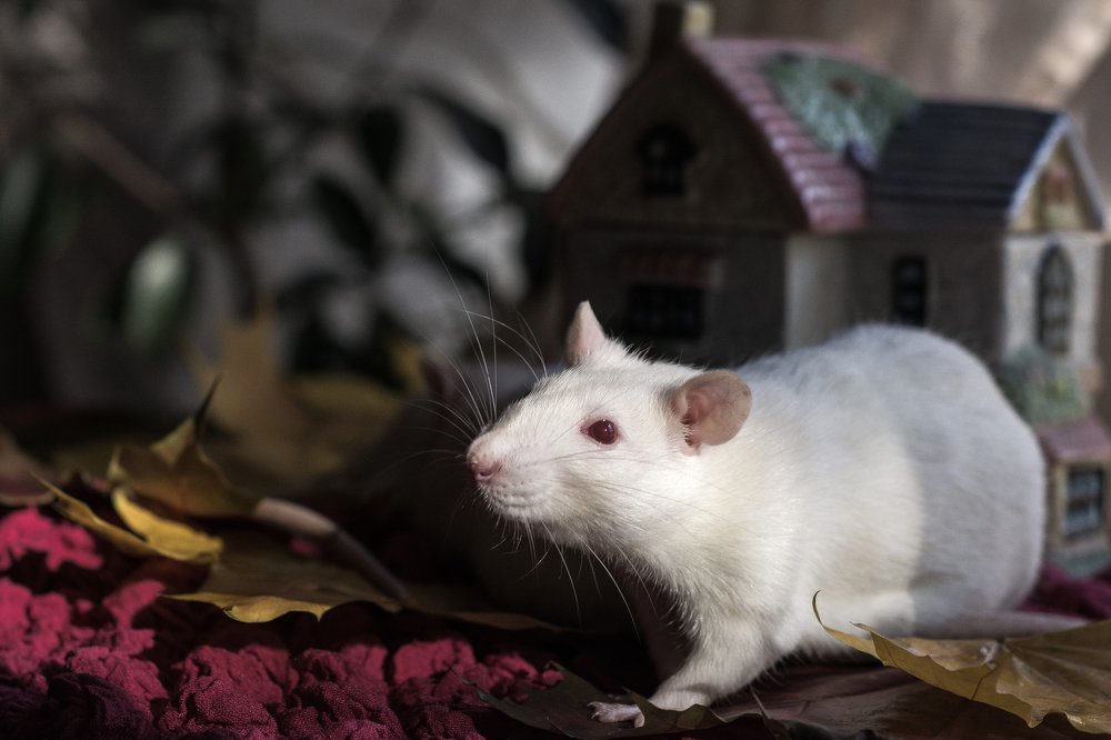 Photograph by Соша Грухина