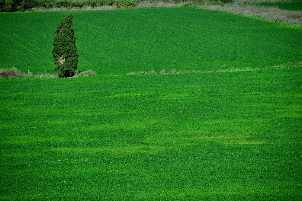 Photograph by Анатолий Хальман