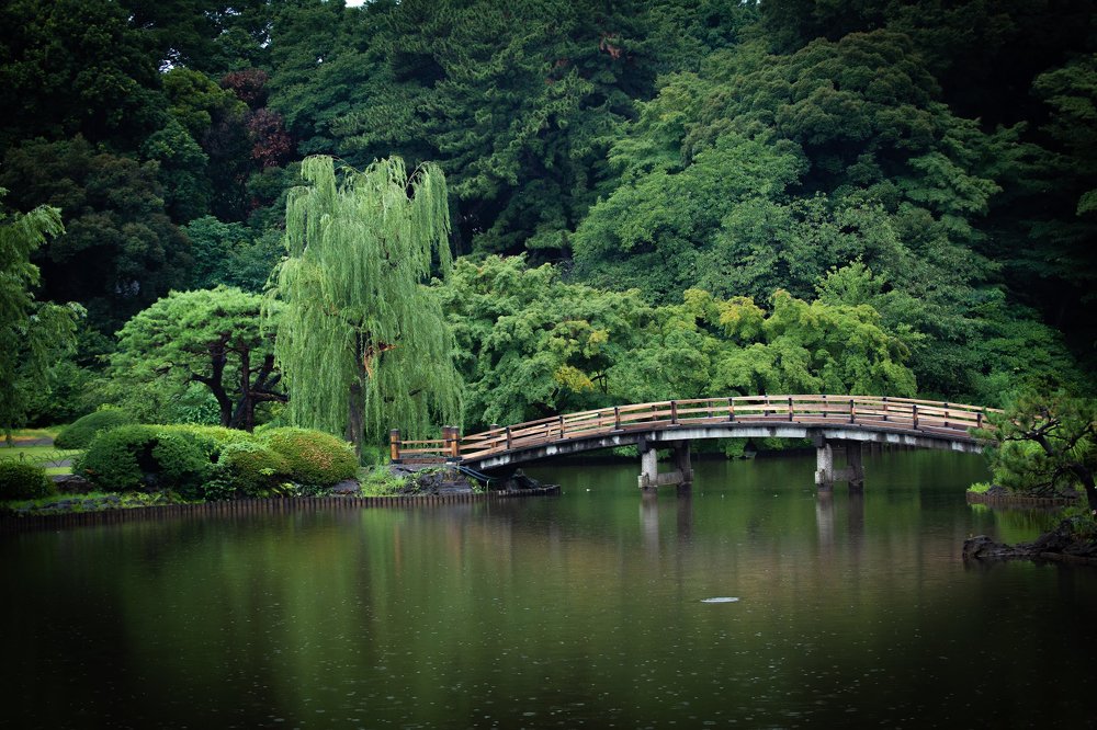 Photograph by Александр Иванов