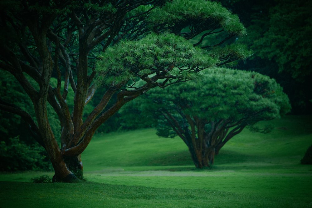 Photograph by Александр Иванов