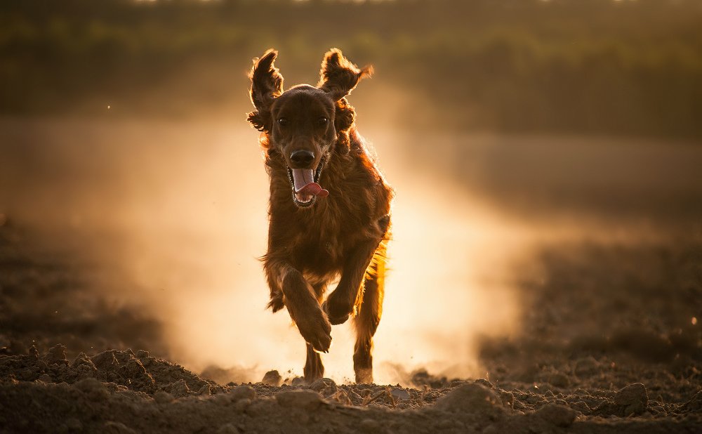 Photograph by Елизавета