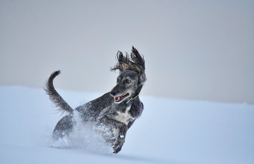 Photograph by Елизавета