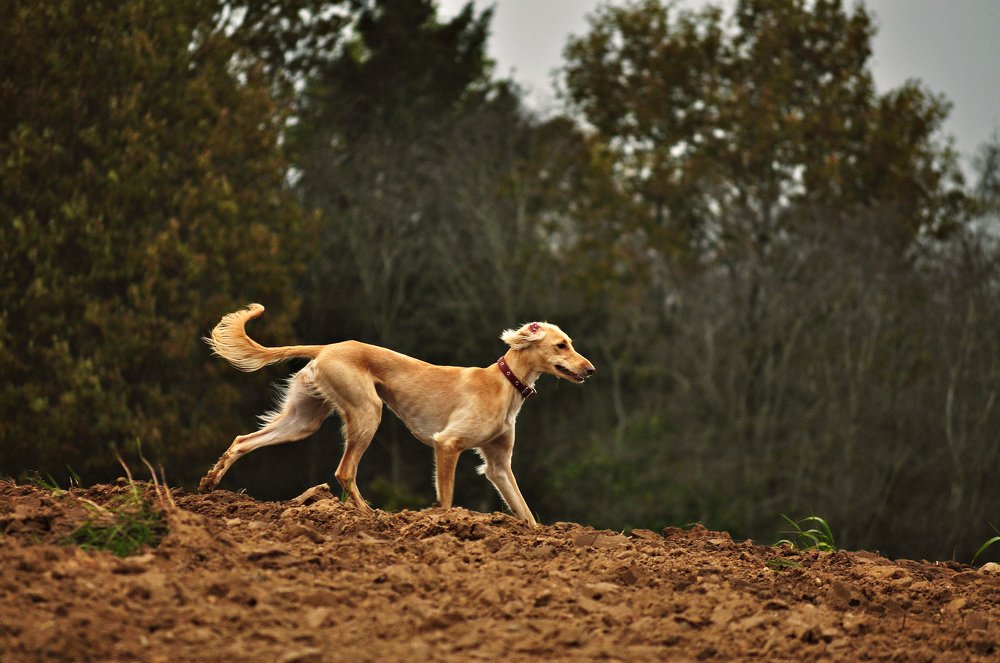 Photograph by Елизавета