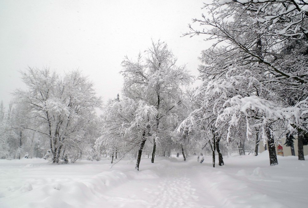 Photograph by Михаил Обертаев