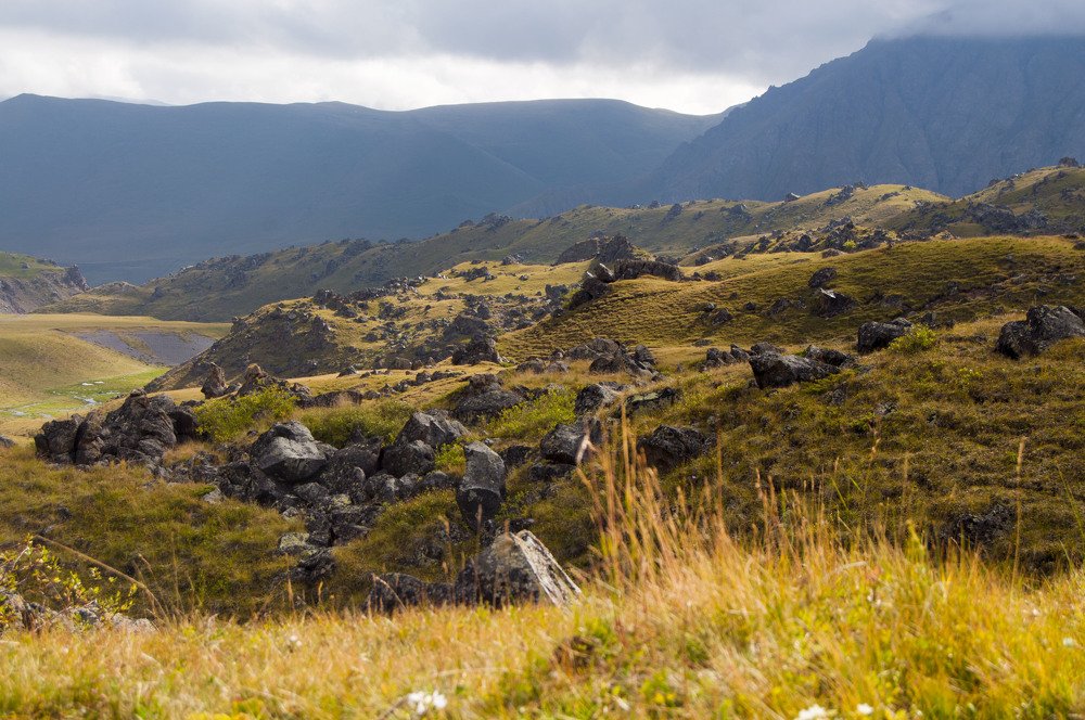 Photograph by Анастасия Езепчук