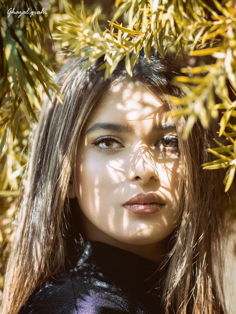 Photograph by giahi Ghazal