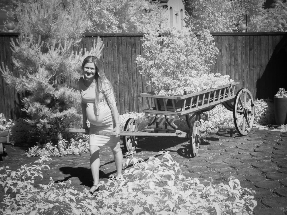 Photograph by Андрей Натан