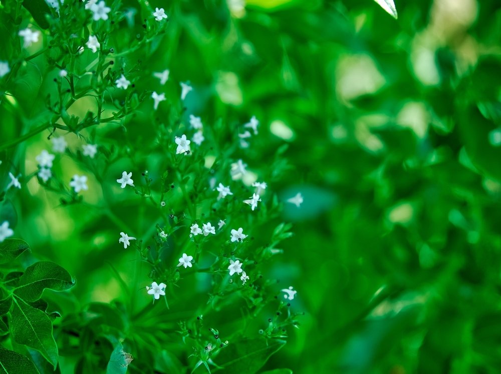 Photograph by Игорь Антипин