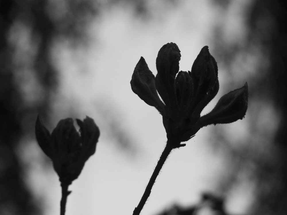 Photograph by Василий