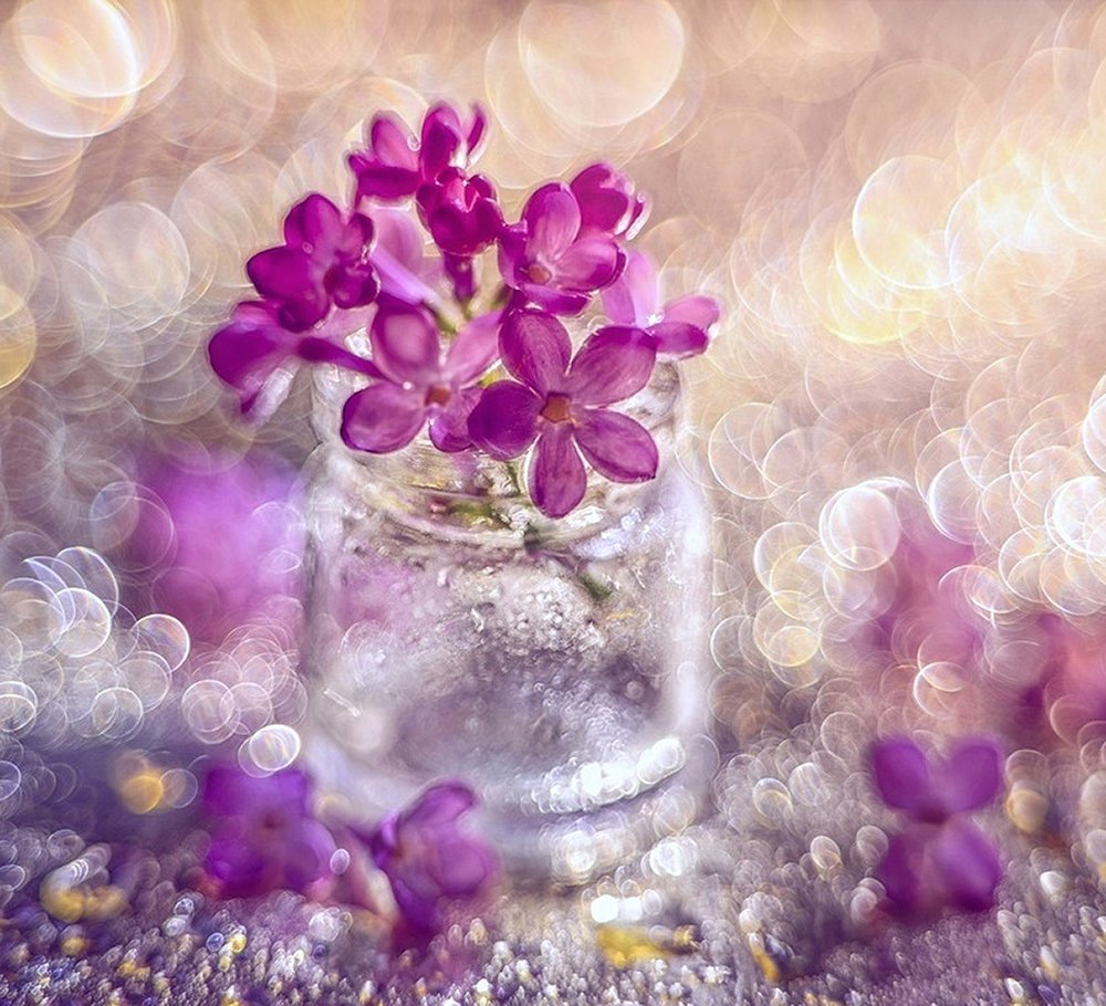 Весенний вечер