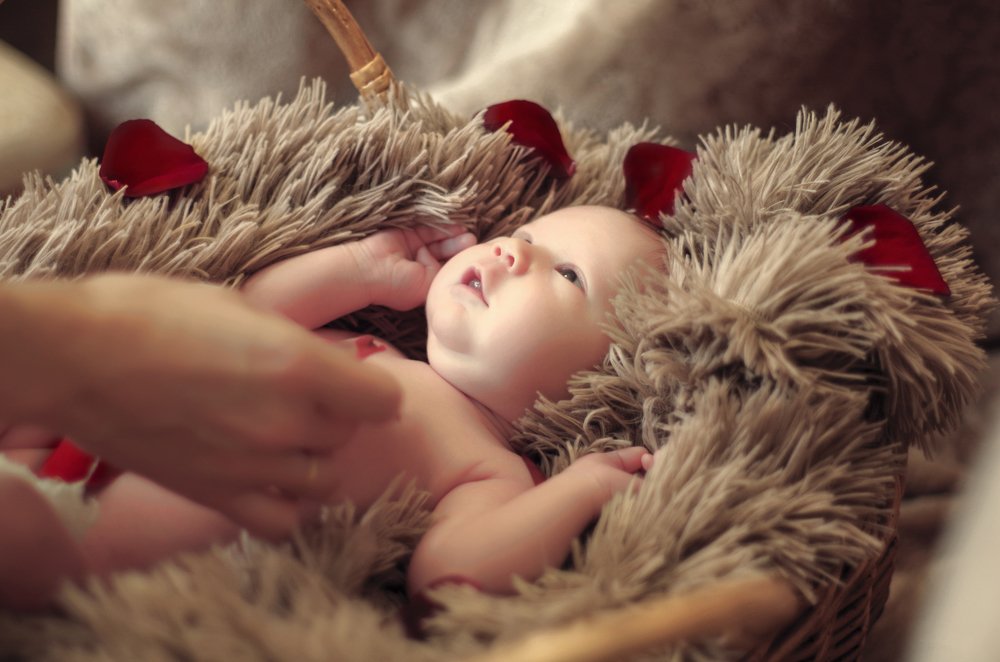 Photograph by Алина Талипова