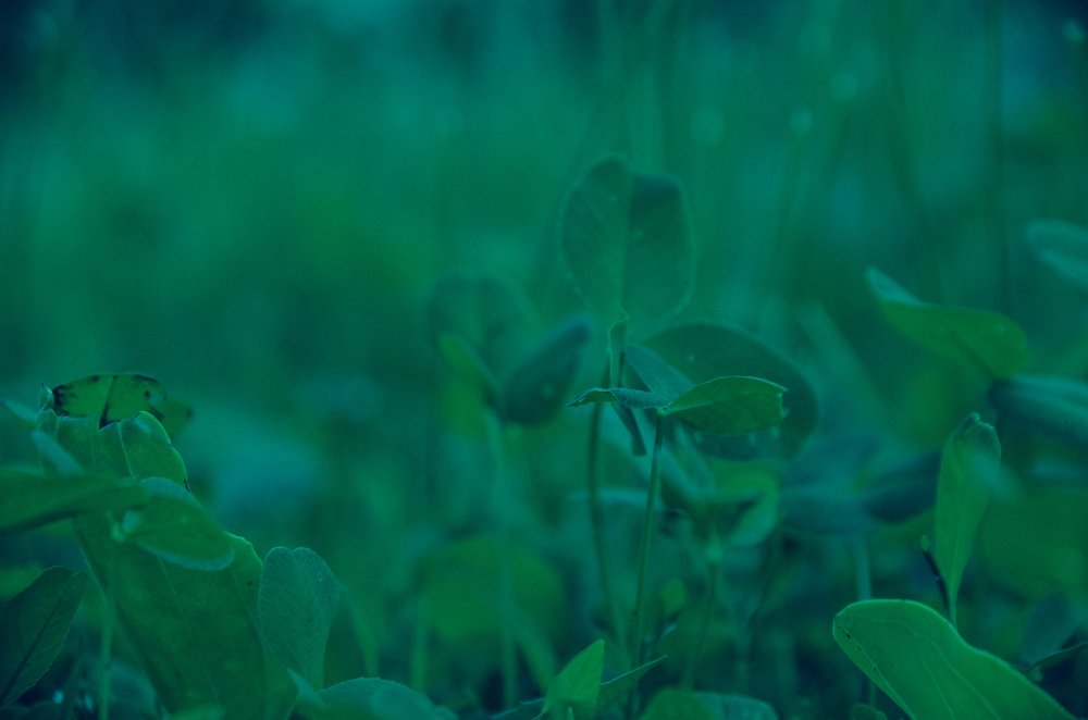 Photograph by Алина Талипова