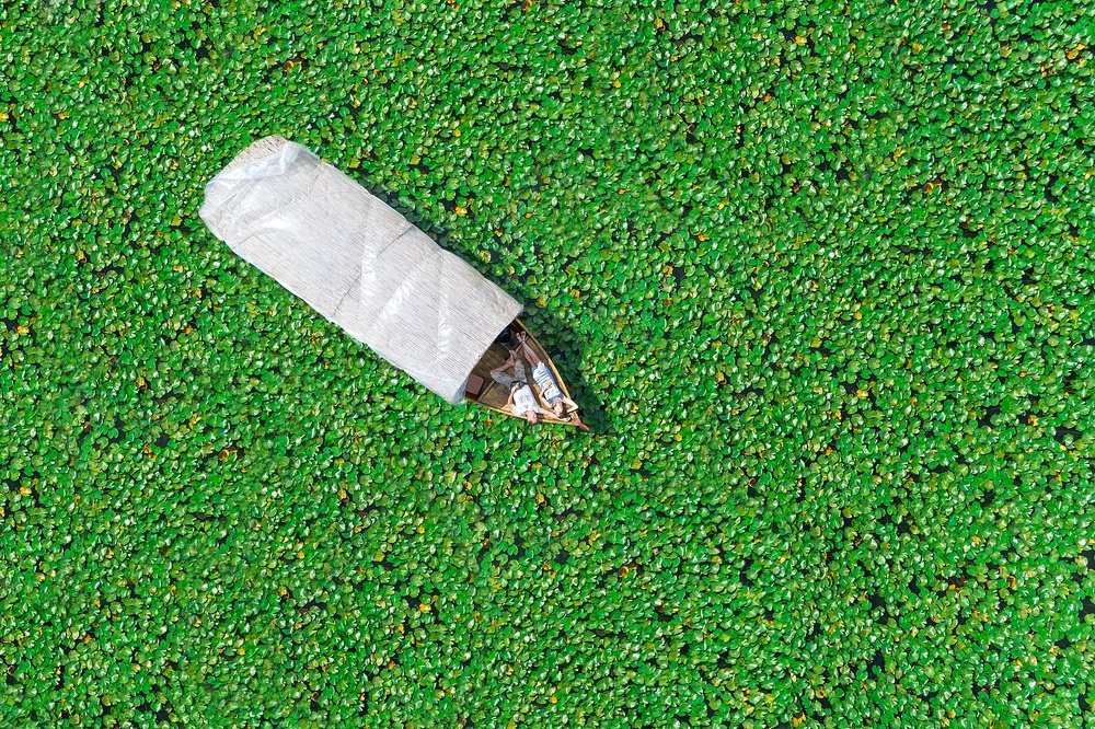 Photograph by Aleksei Kazakov