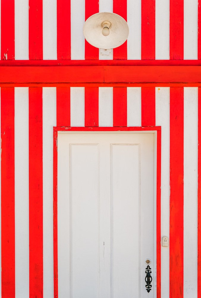 Полосатая жизнь