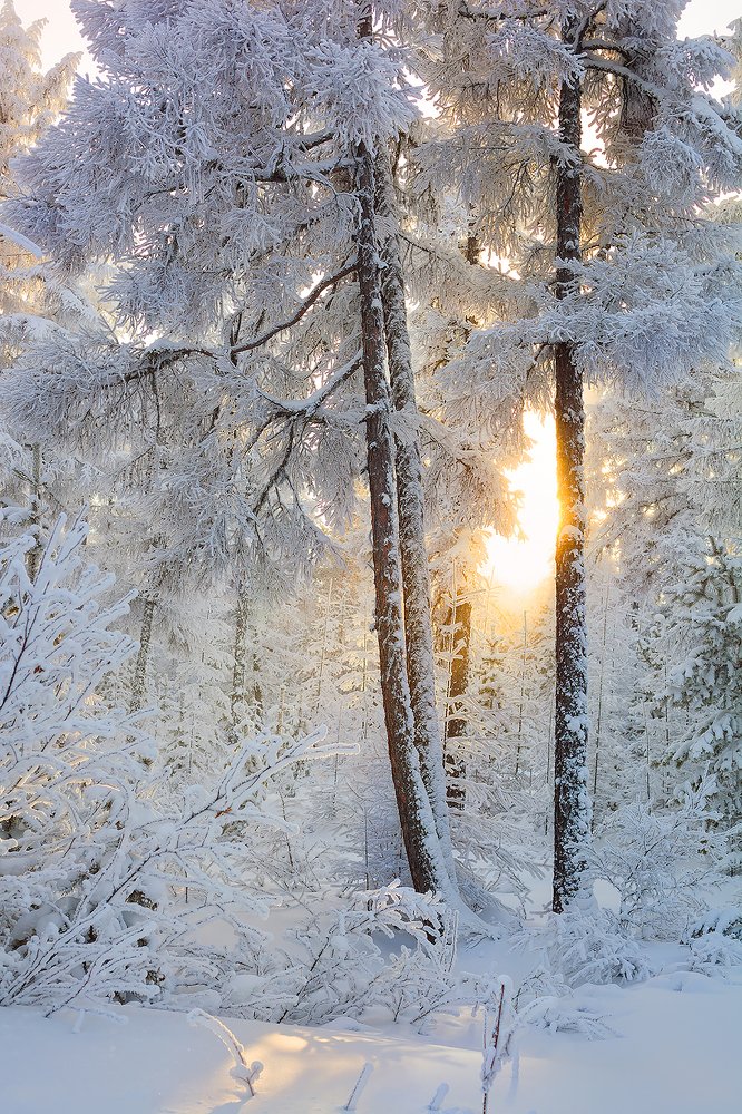 Photograph by Зарышнюк Роман