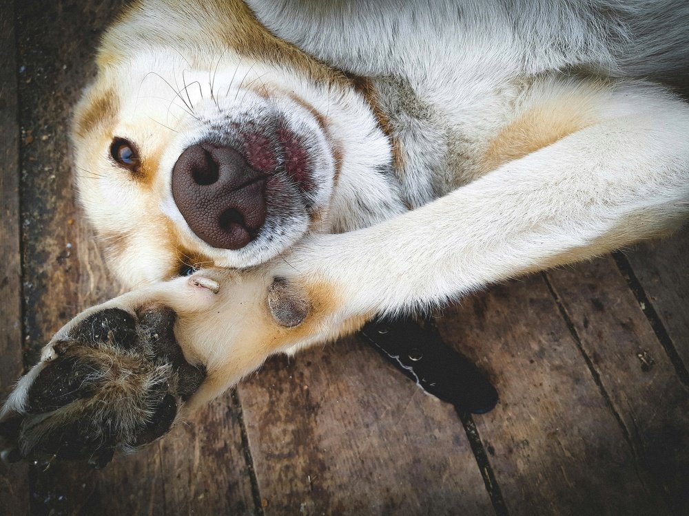 Photograph by Светлана Лехмус