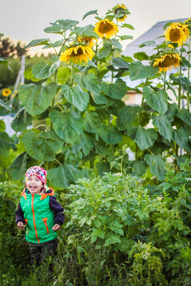 Photograph by Анастасия Костюкова