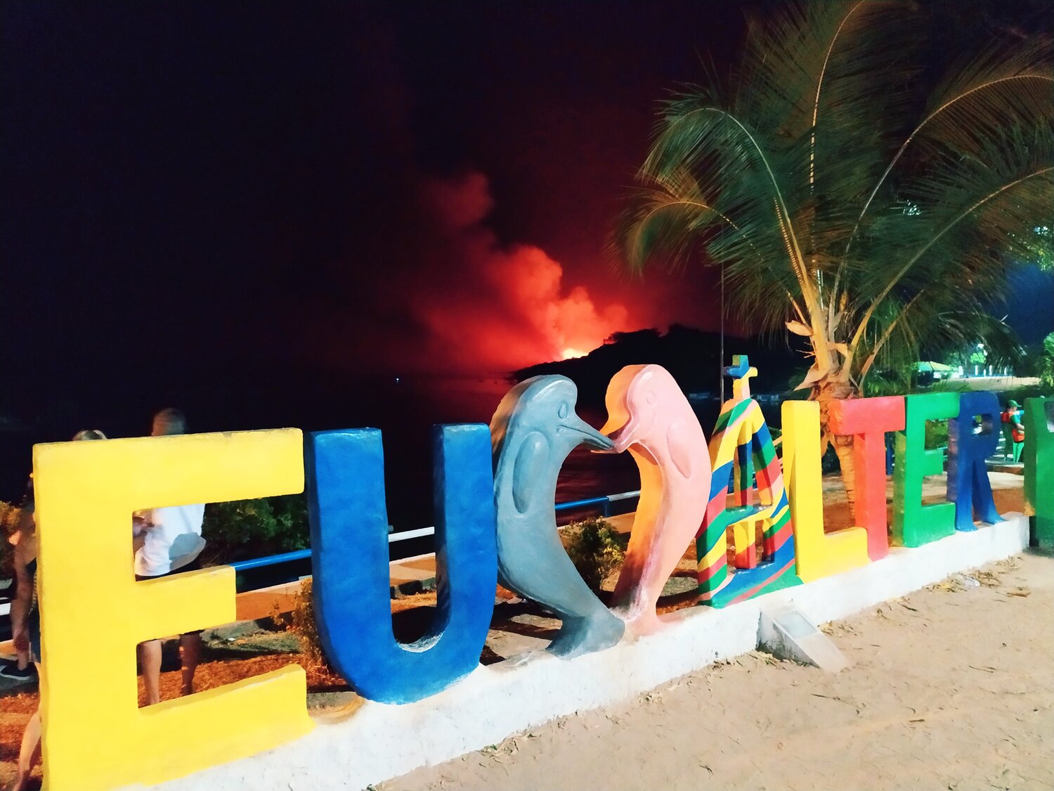 Photo #3711105