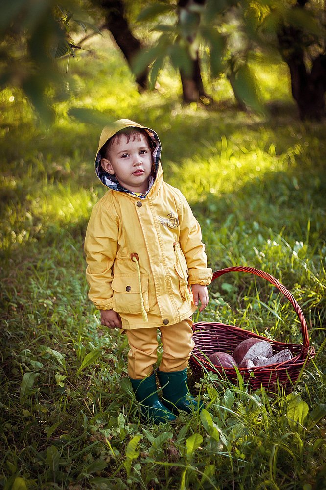 Маленький грибник